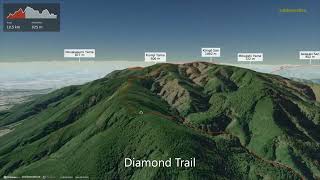 Diamond Trail