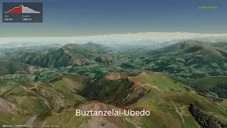 Buztanzelai-Ubedo